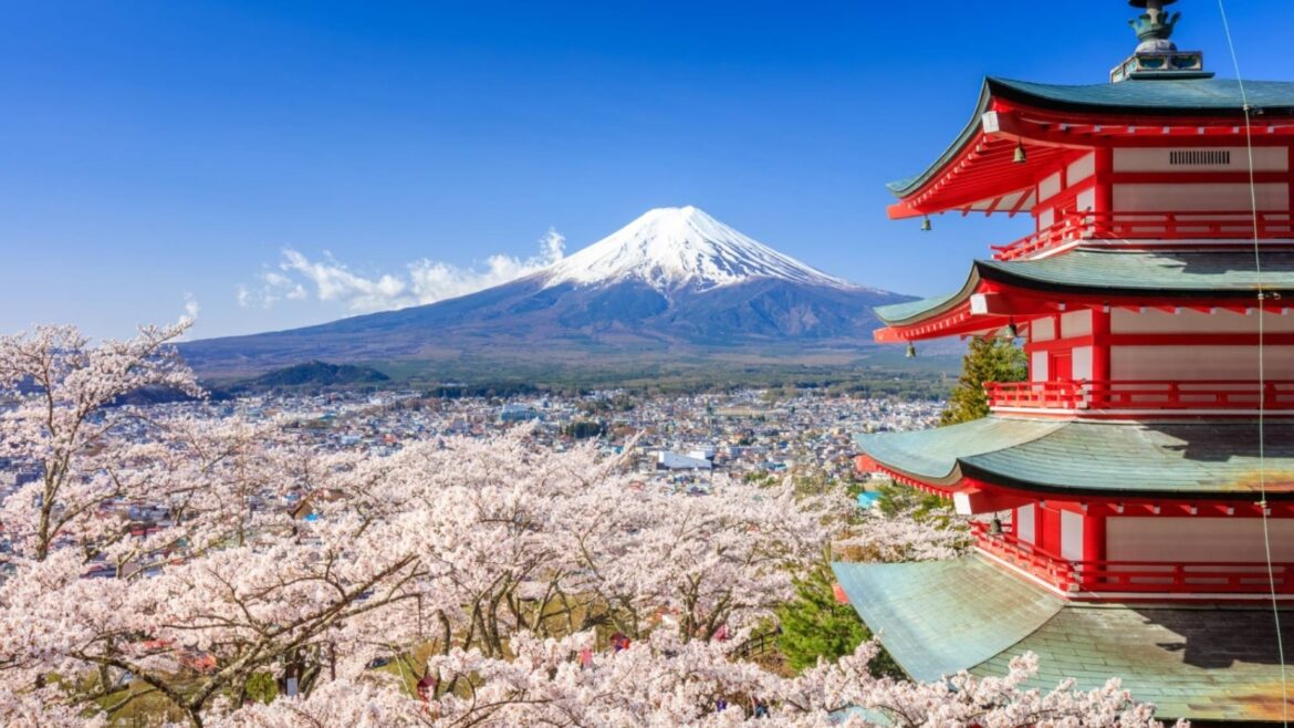 Japan Mount Fuji cherry blossom festival