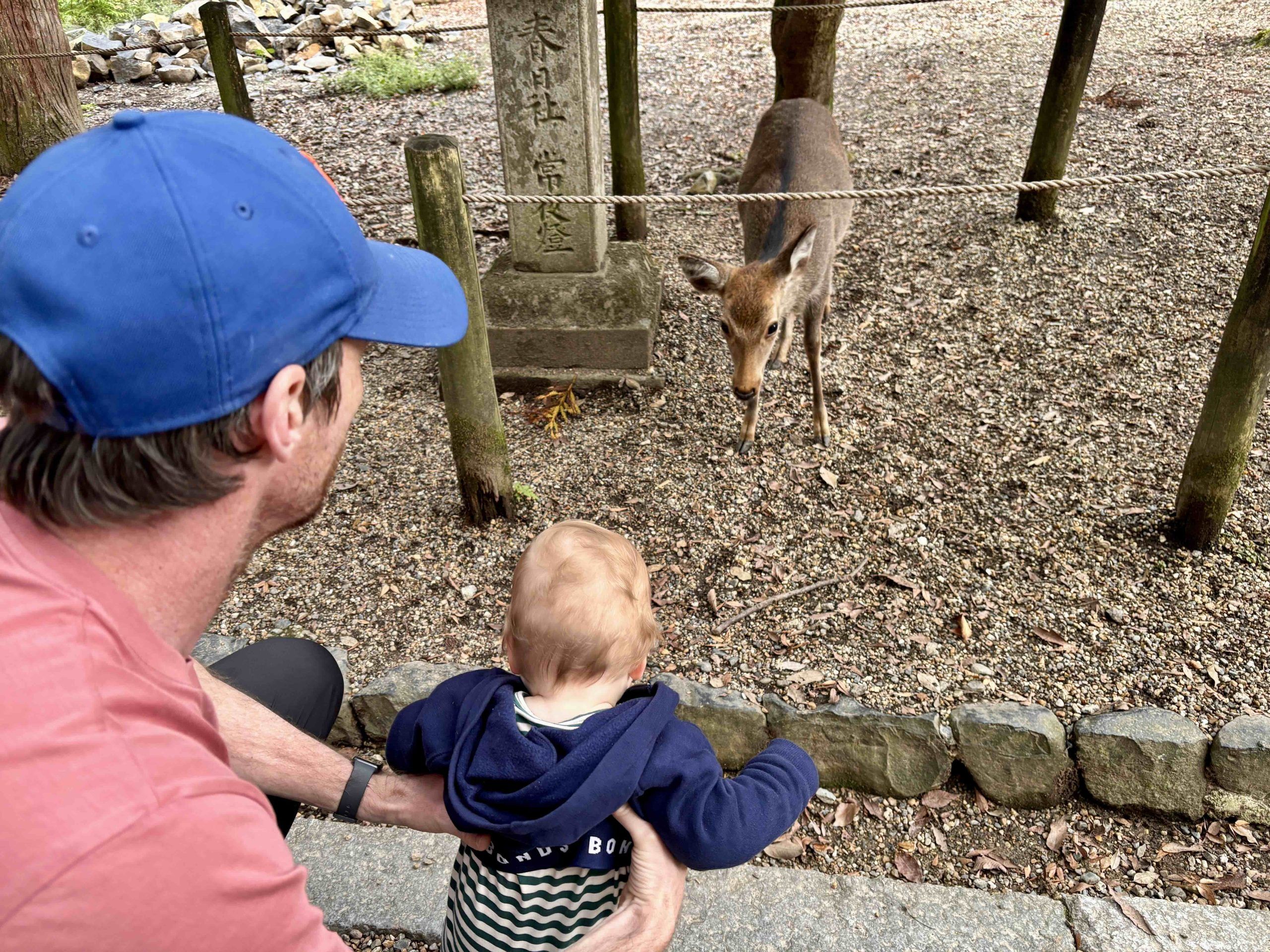 Meeting the deer | Emily McAuliffe