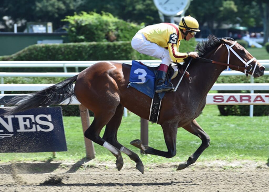 Seven-Figure Daughter of Rachel's Valentina Debuts at Tokyo