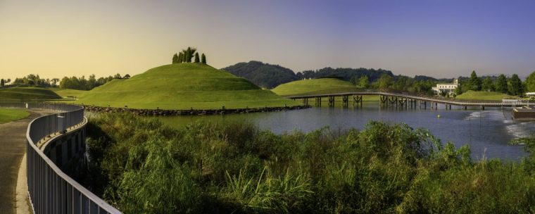 Suncheon Bay National Garden is an important reserve for migratory birds (Photo: Sanghwan Kim/Getty Images)