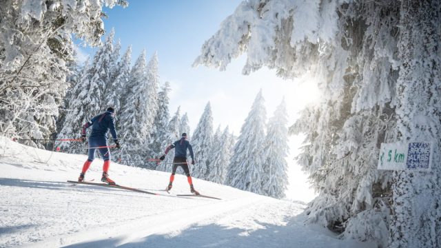 Article thumbnail image