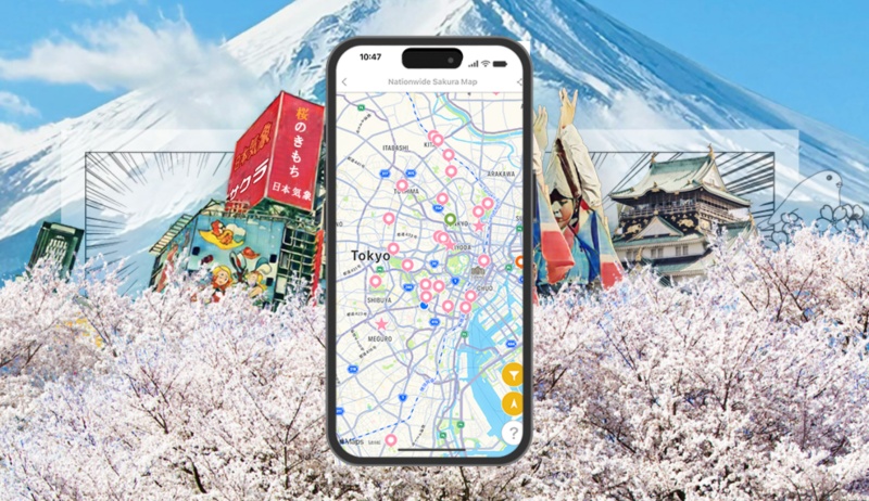 2026 Japan Cherry Blossom Forecast | Tokyo, Osaka, Fukuoka, Nagoya, Sendai