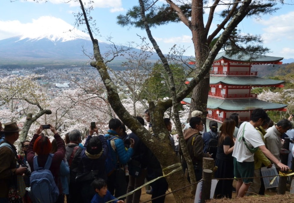  The “Arakuraya Sengen Park Cherry Blossom Festival” name will be wiped off official tourism websites, said the city government. As tourists are still expected to descend upon the city during the sakura season, safety measures including security guards and portable restrooms will be deployed.