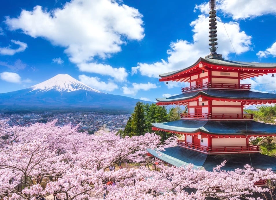 The Fujiyoshida city government said locals questioned holding the cherry blossom festival because it burdened residents, leading officials to choose community well being over tourism promotion. 