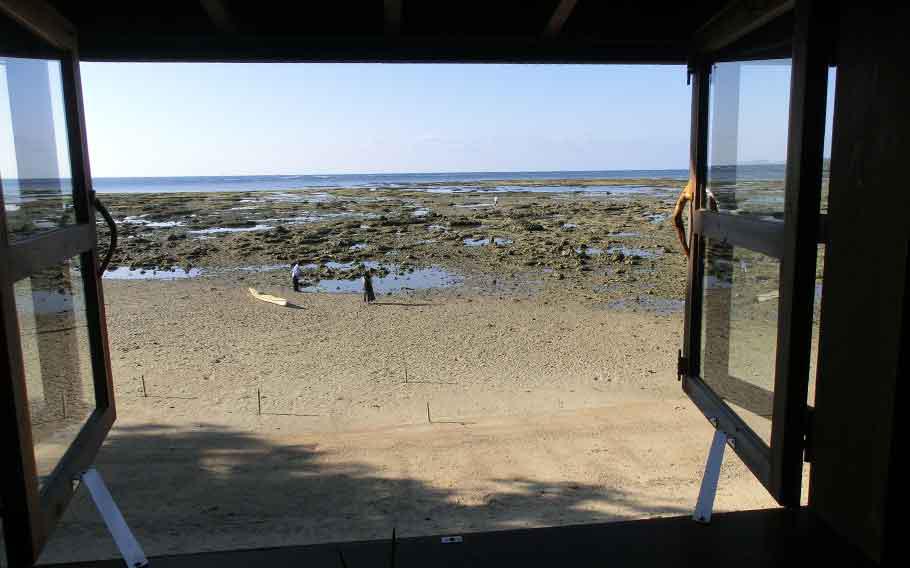 View from cafe window. The beach is visible at low tide.