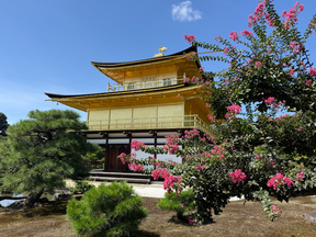 Rokuon-ji, a Buddhist temple in Kyoto.