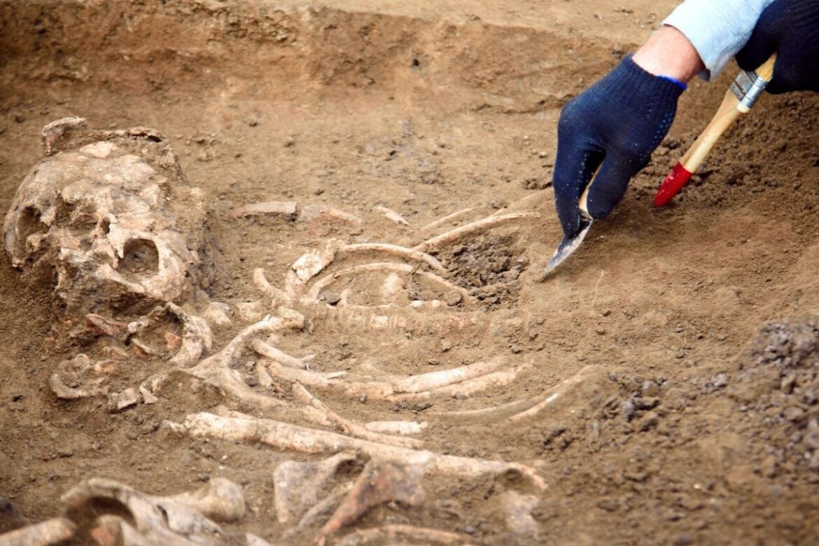 Japan’s oldest ‘humans’ were never human