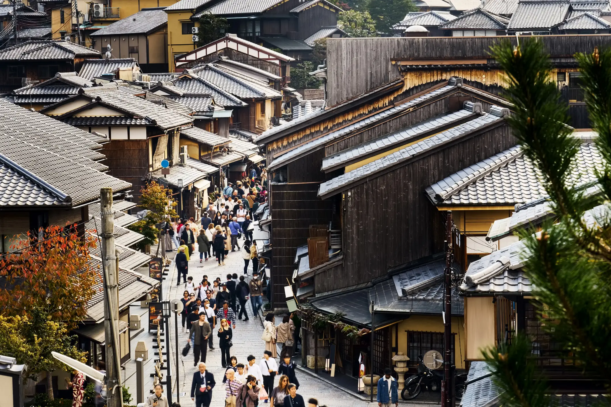 The park features ninja battles and a Torture House (AJ_Watt/Getty)