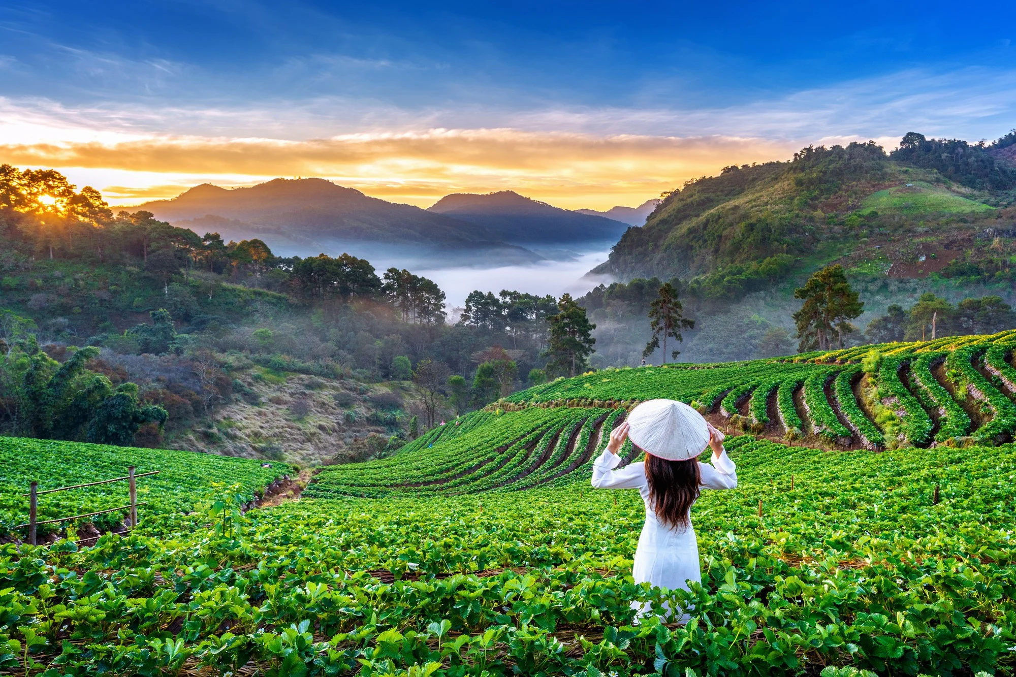 Best Cities To Travel In The World