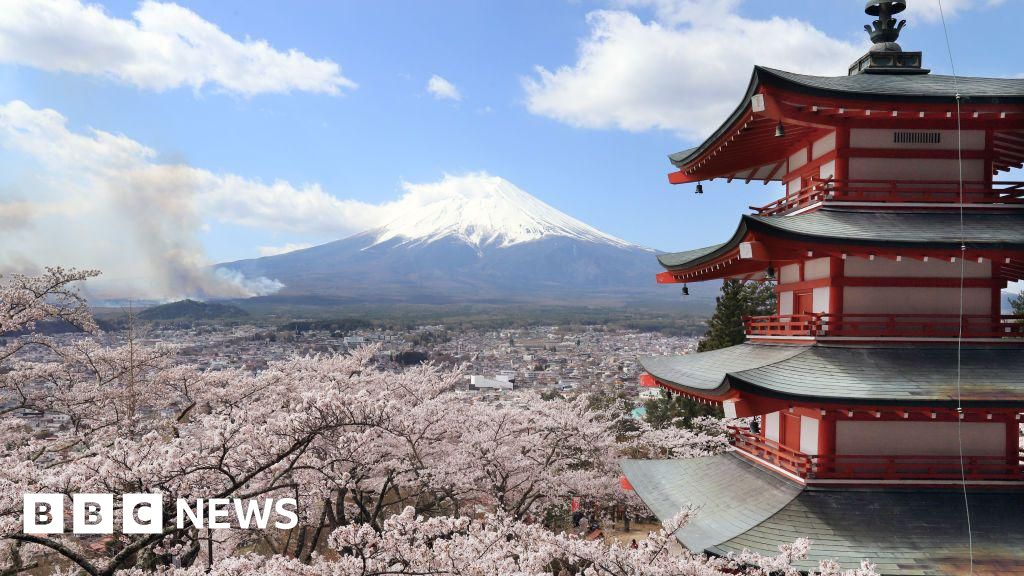 Japanese city cancels cherry blossom festival over badly behaved tourists Japanese city cancels cherry blossom festival over badly behaved tourists