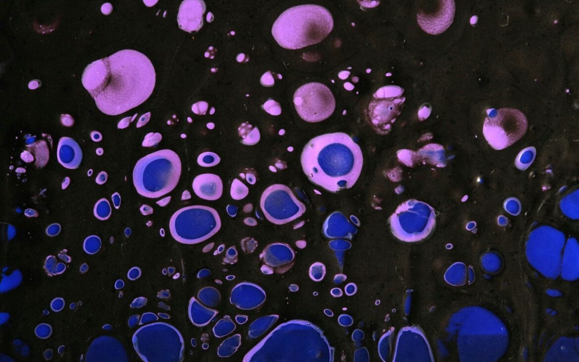 Promise or peril? Japan’s stem-cell gamble sparks concerns