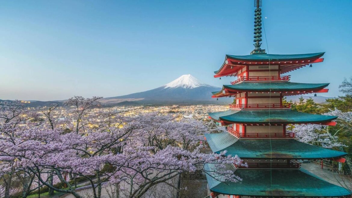 Fujiyoshida Cancels Cherry Blossom Festival Due to Misbehaving Tourists