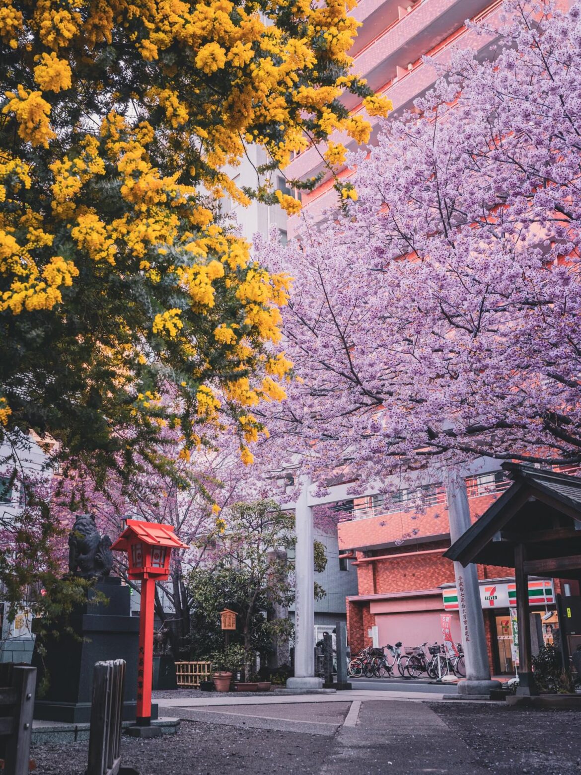雪や氷が解け、静かに命が芽吹き始める春