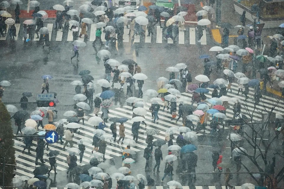 Transparent umbrellas are seen everywhere in Japan