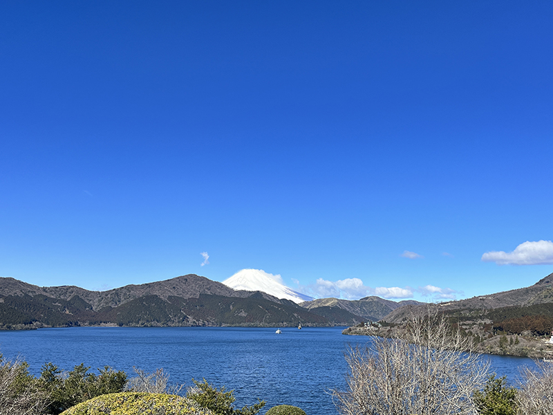 2026 Hakone Attractions Guide: Hakone Attractions - Onshi-Hakone Park