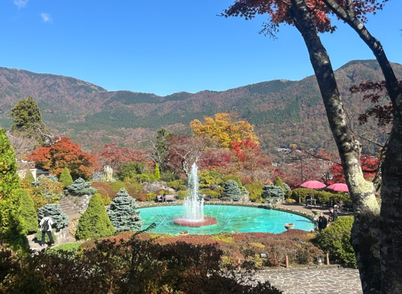 2026 Hakone Attractions Guide: Hakone Attractions - Gora Park