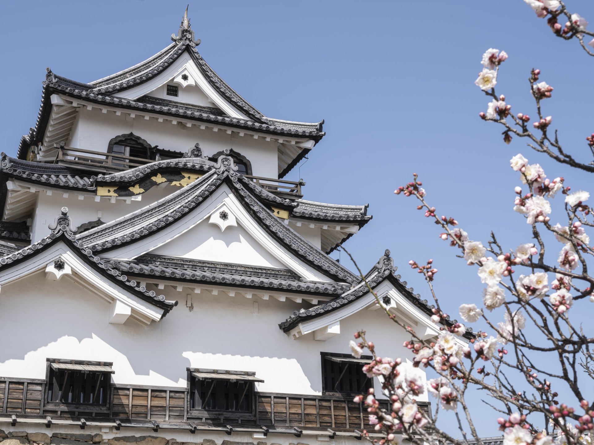 Hikone Castle