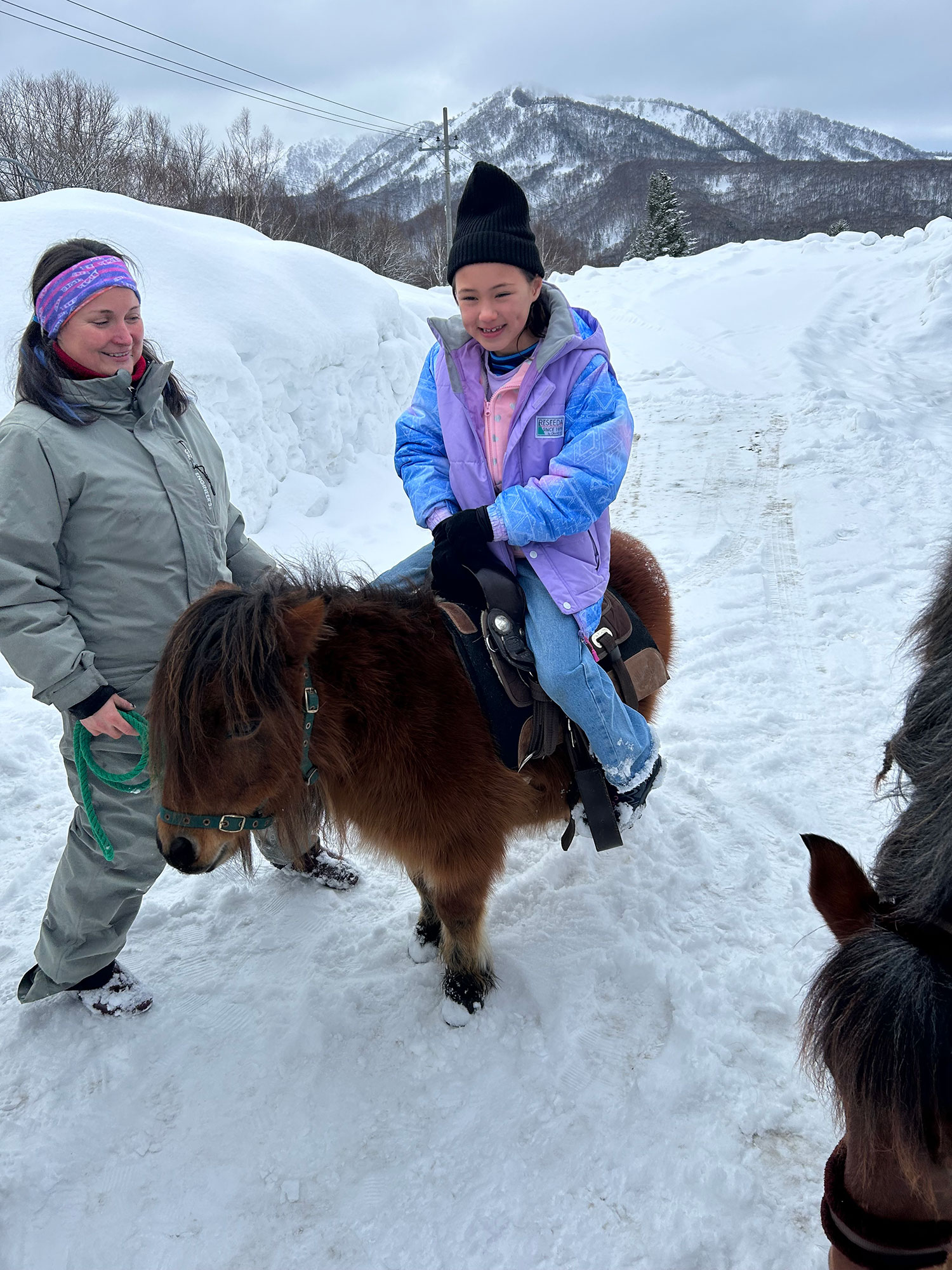 Margo’s garden has ponies for kids and horses for adults