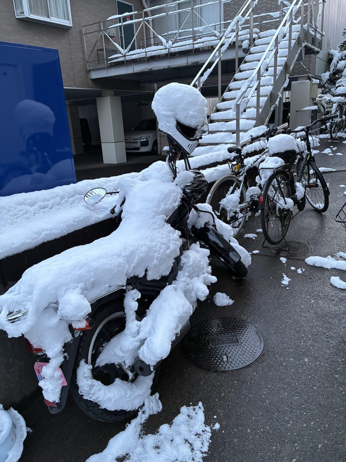 After the snow yesterday