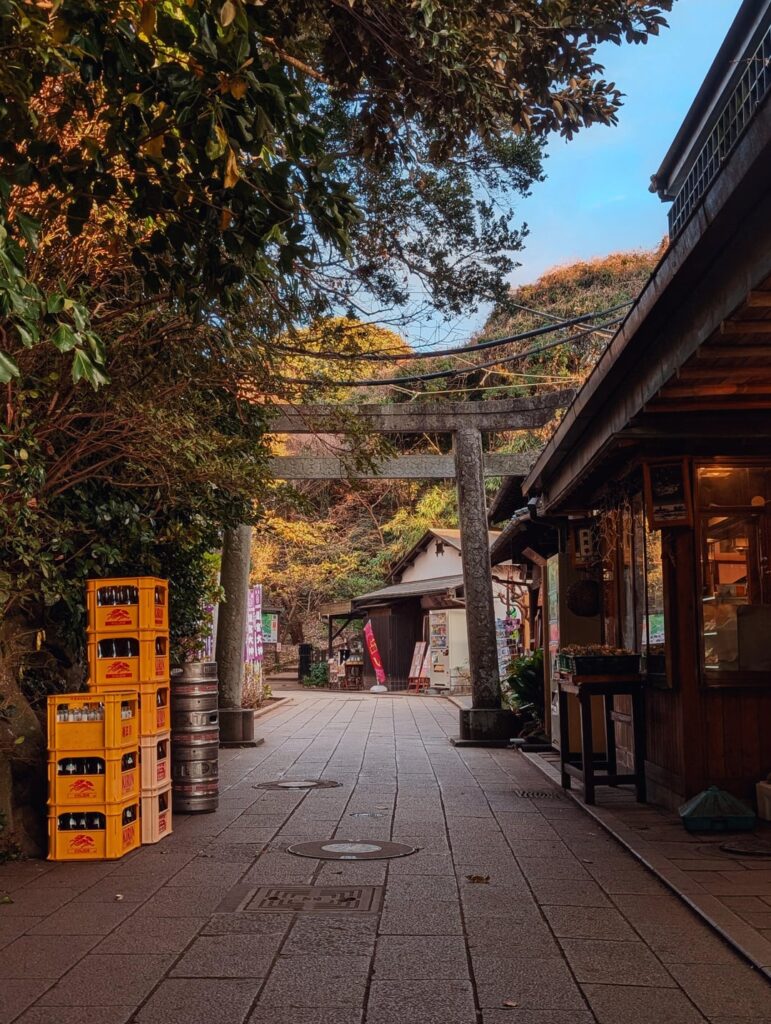 Winter trip to Kyushu (And Tokyo)