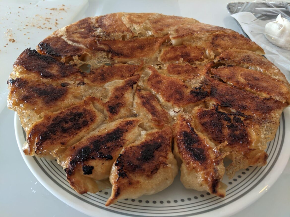 Homemade Pork Gyoza