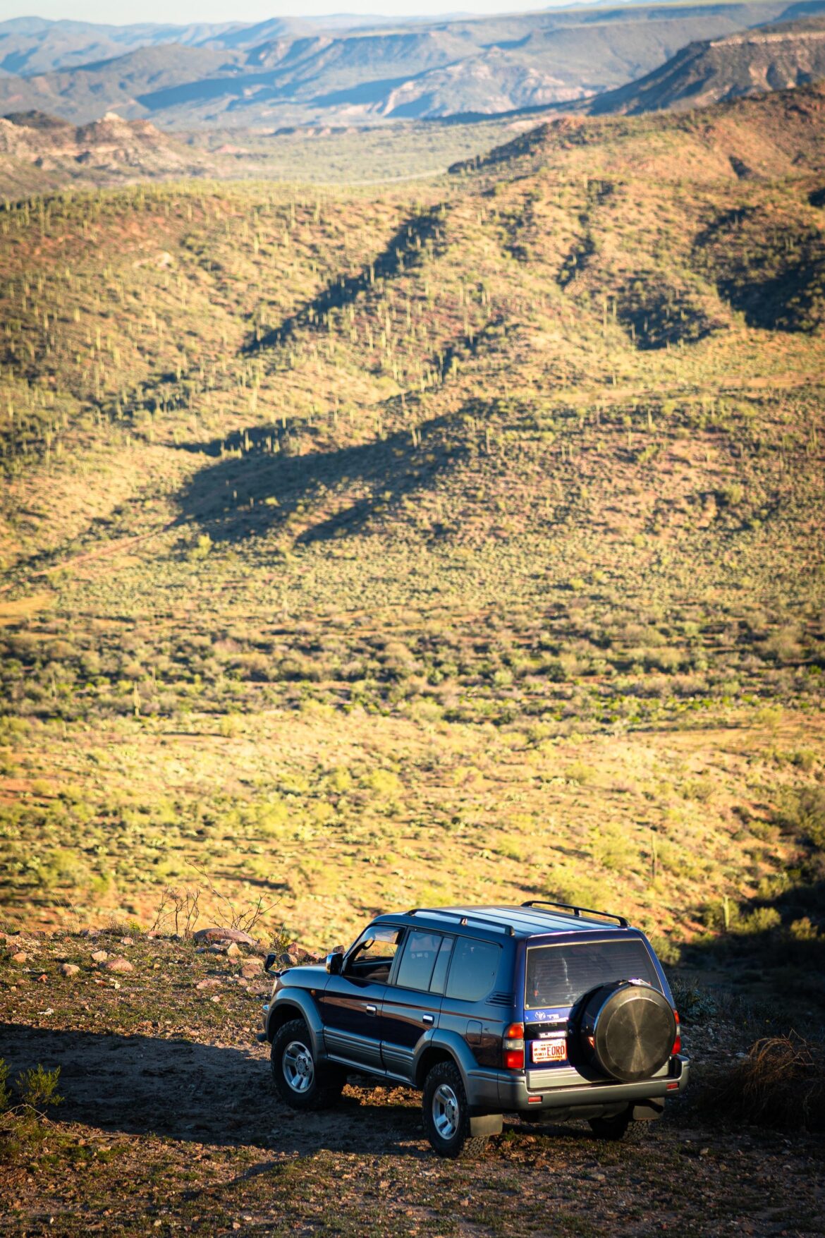 Prado in the Arizona Desert