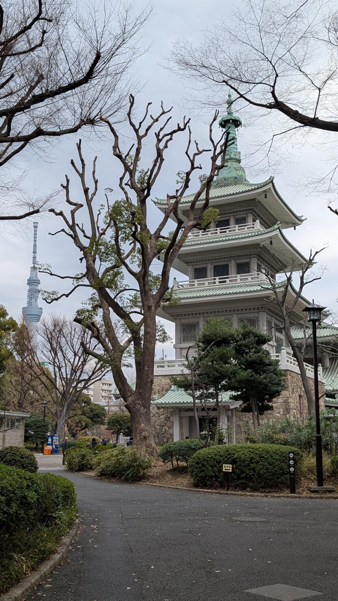 Contrast between Old and New