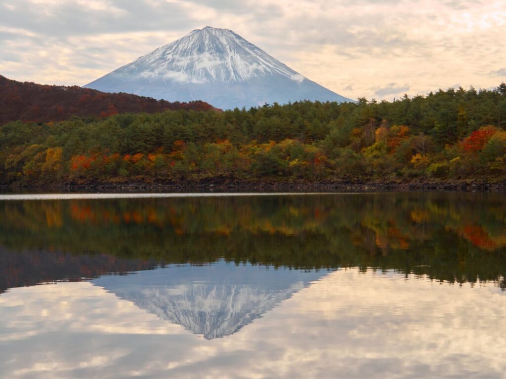 Lake Saiko, Fuji Five Lakes
