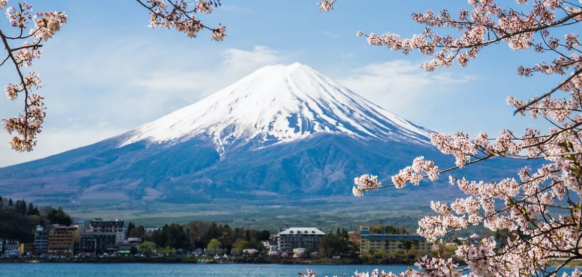 Japan Cancels Cherry Blossom Festival Near Mount Fuji Amid Tourist Misconduct Japan Cancels Cherry Blossom Festival Near Mount Fuji Amid Tourist Misconduct