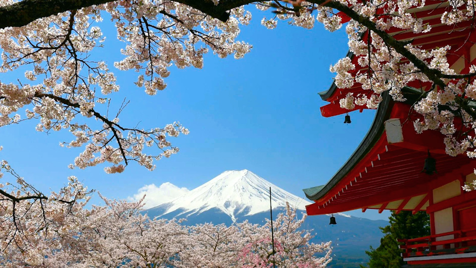 Overtourism forces Japan to cancel Mount Fuji cherry blossom festival amid resident backlash overtourism-forces-japan-to-cancel-mount-fuji-cherry-blossom-festival.jpg
