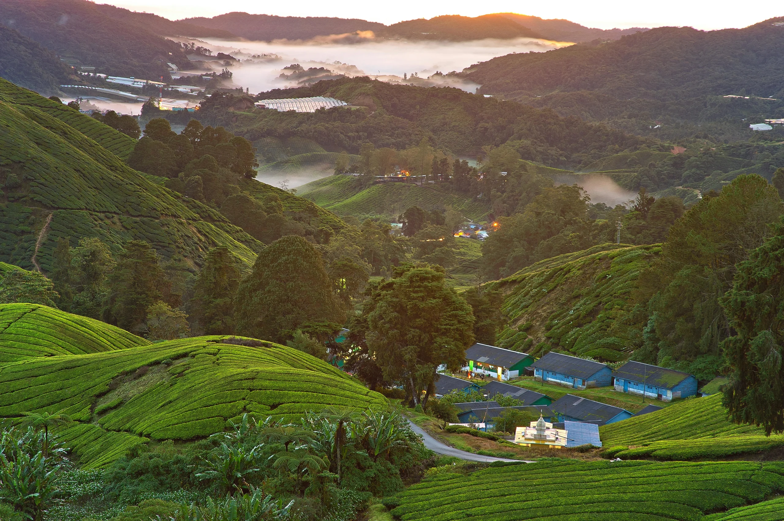 Top 10 Safest Countries in Asia in 2026, No.5 Will Surprise You!!