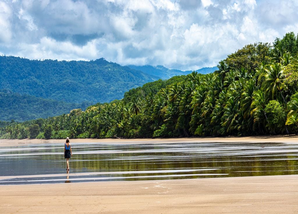 A young woman walks along a palm-lined beach in Marino Ballena National Park, Costa Rica.
