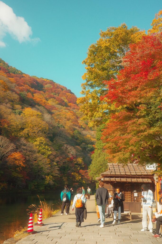 A few photos of Kyoto