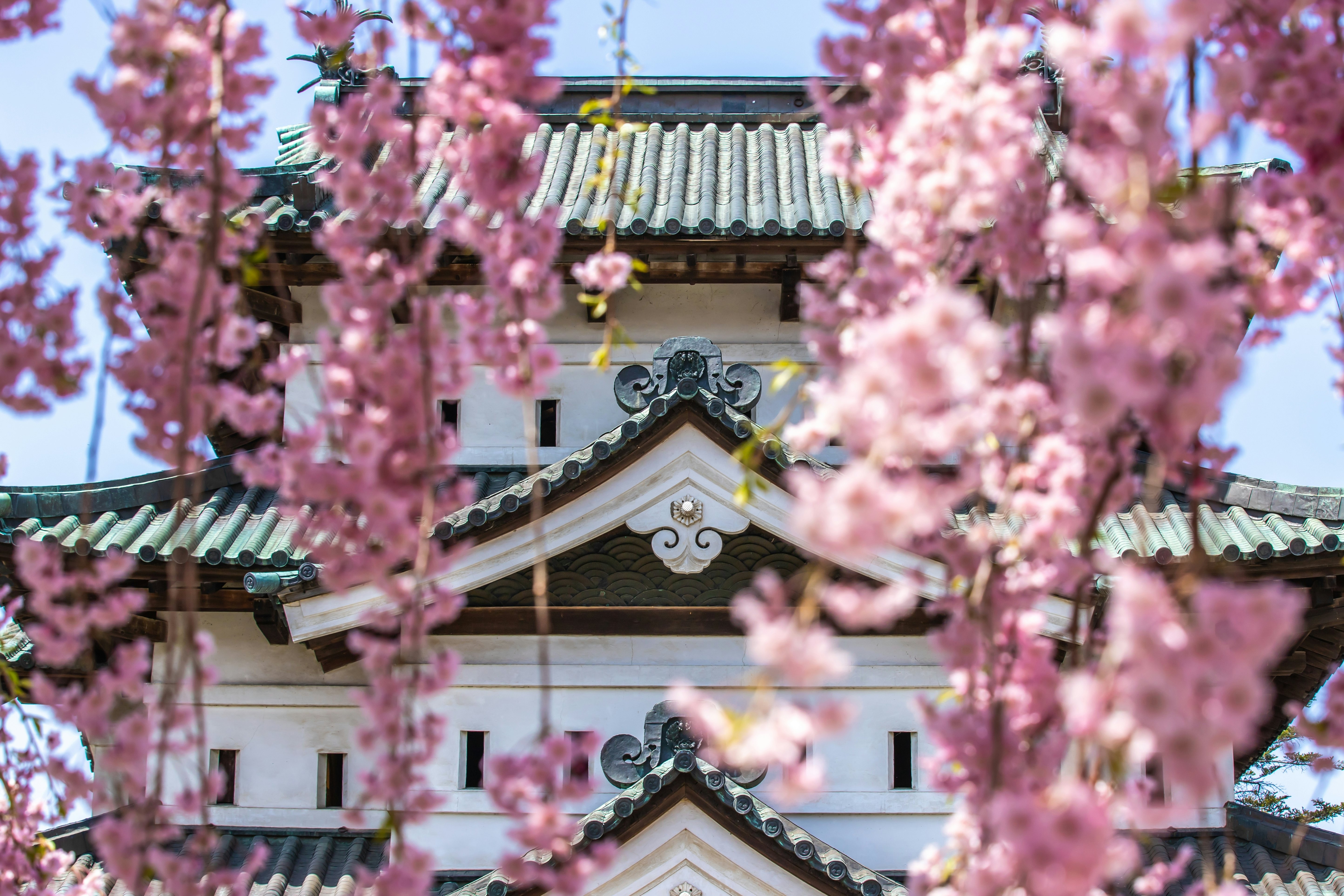 Aomori Prefecture Hirosaki Castle Sakura Festival