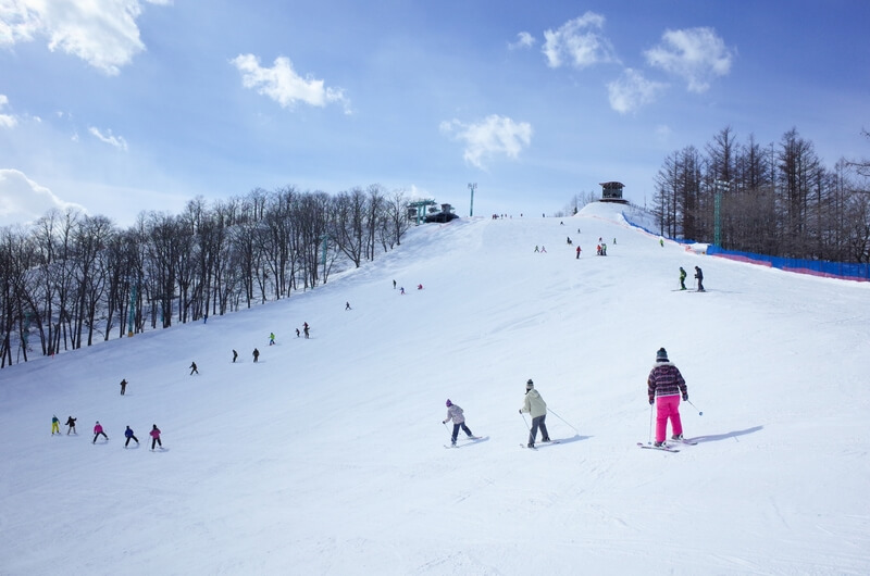 [2026 Latest] 10 Must-Visit Ski Resorts Near Kanto for Day Trips | Master Opening Dates & Difficulty Levels!