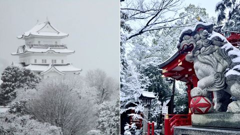 Travel Advisory: Heavy Snowfall In Japan Grounds Flights And Disrupts Shinkansens