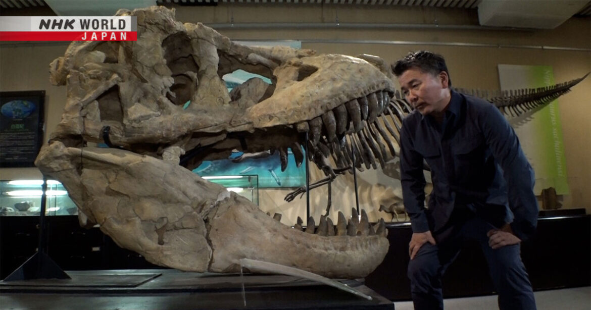 Considering Our Future Through Dinosaur Research: Kobayashi Yoshitsugu / Paleontologist / Professor, Hokkaido University - Direct Talk