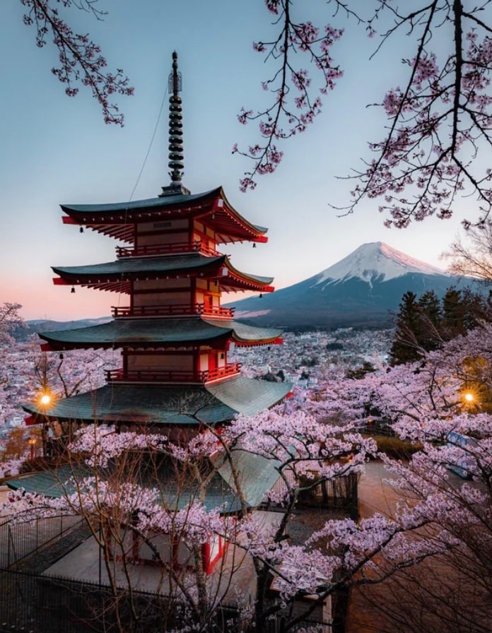  The situation worsens in spring’s cherry blossom season, as crowds of more than 10,000 daily flood in to capture iconic shots of snow capped Fuji with the Chureito Pagoda.