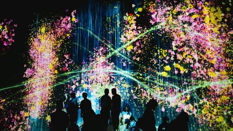 Which TeamLab Should You Visit In Japan — Tokyo, Osaka, Or Kyoto?