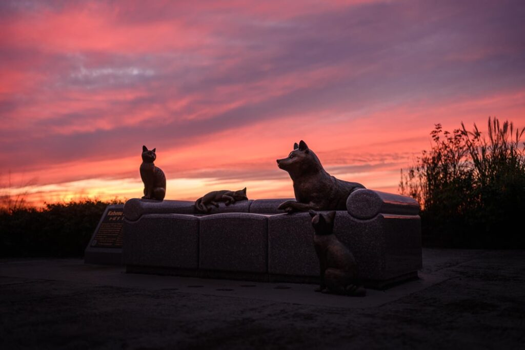 Golden Hour at Sakura Hometown Square