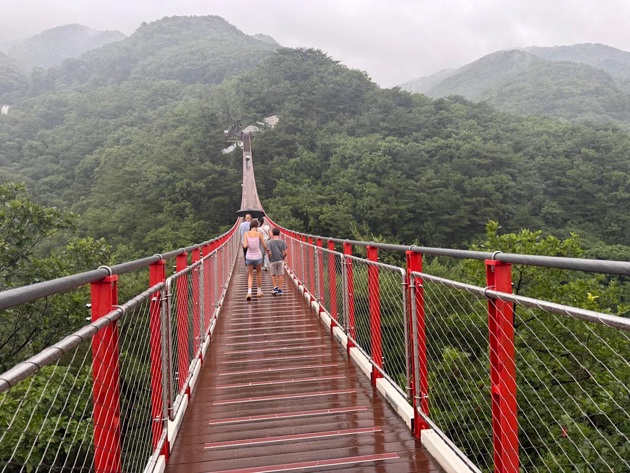 Long red bridge over tree tops in Seoul