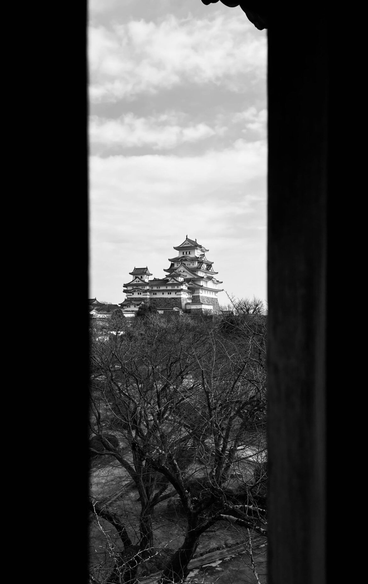 Himeji castle’s main keep as seen from the west bailey