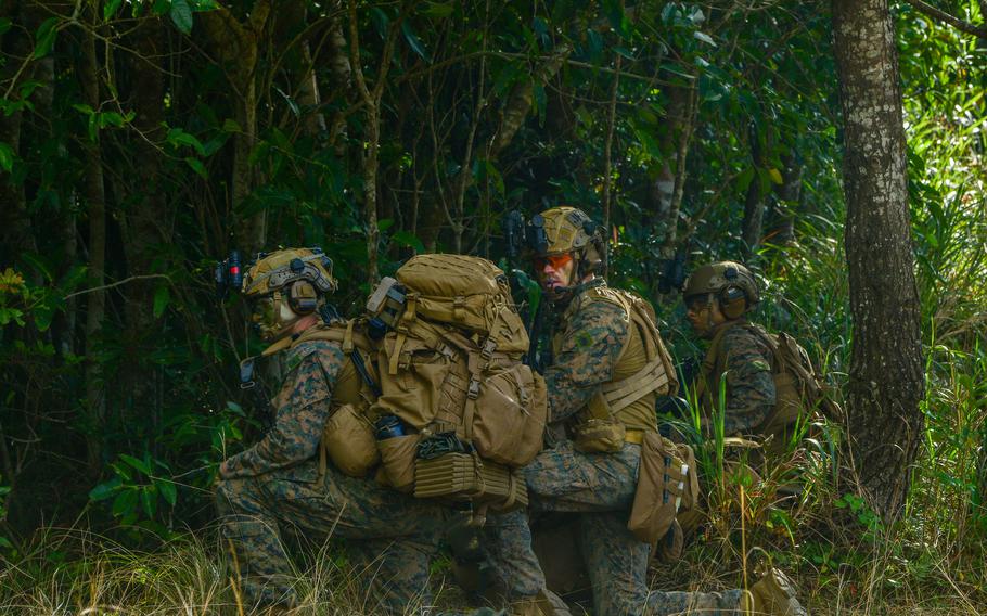 U.S. Marines kneeling near trees and tall grass.