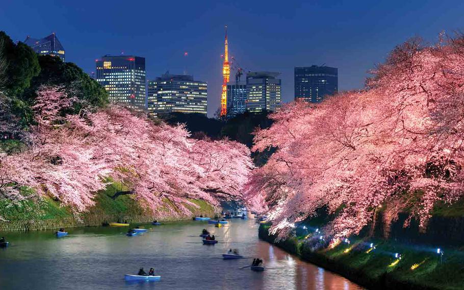 Cherry blossom trees over the Chidorigafuchi moat and people enjoying the view from the boat.