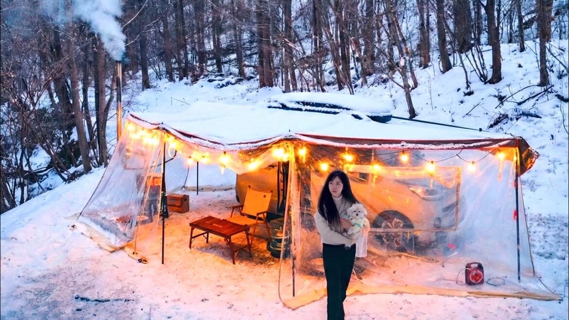 ❄️ 눈덮힌 숲속 270도 회전 어닝텐트에 화목난로 설치해 강아지와 차박 캠핑 | 붓소리, 장작소리ASMR ❄️ 눈덮힌 숲속 270도 회전 어닝텐트에 화목난로 설치해 강아지와 차박 캠핑 | 붓소리, 장작소리ASMR