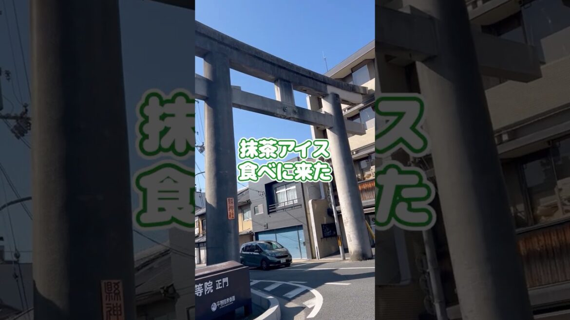 ねをそchannel京都へ行く#shorts