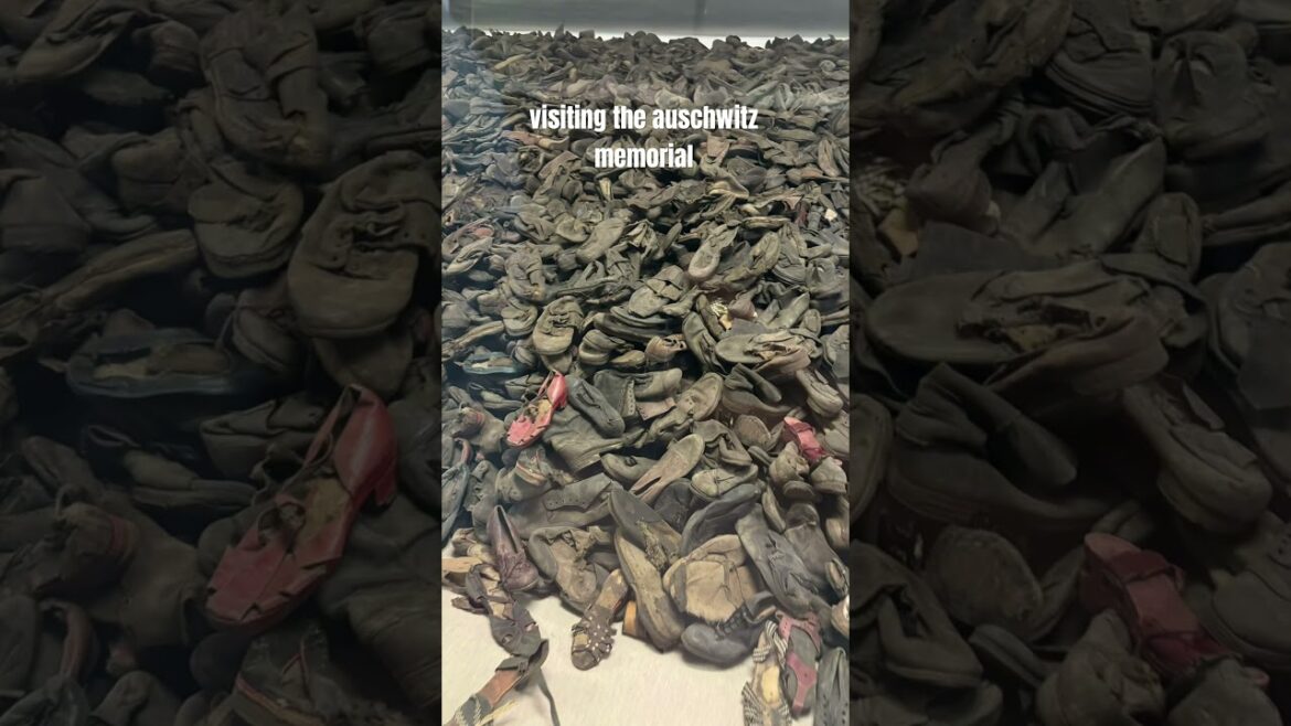 Visiting the auschwitz’s concentration camps.