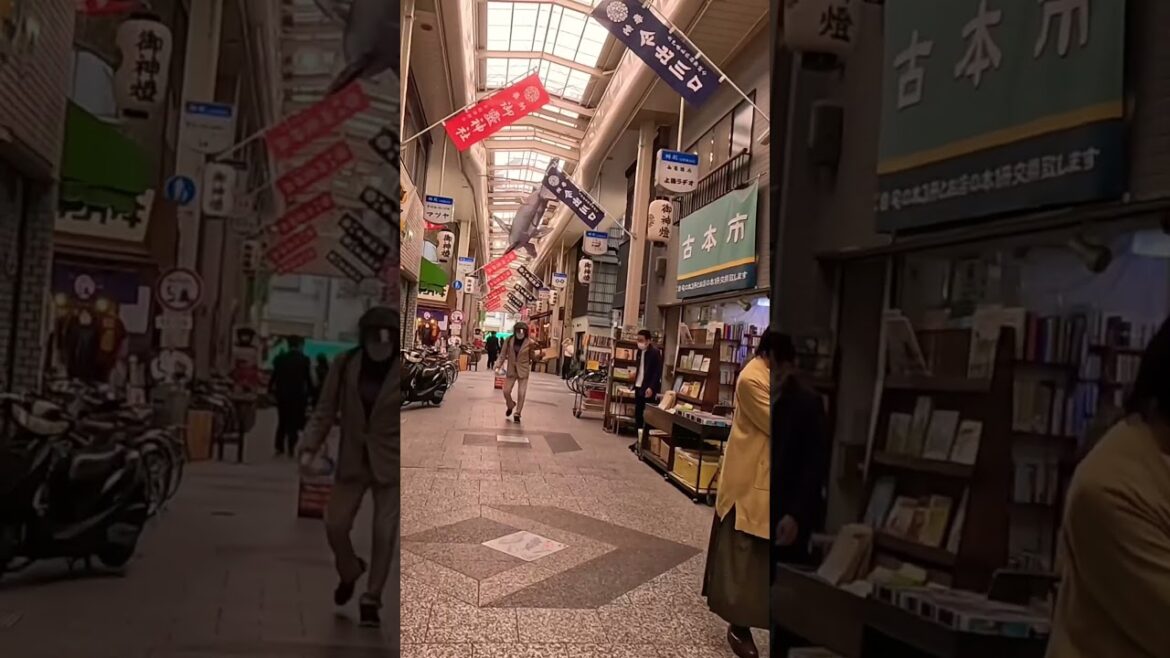 出町桝形商店街：暮らしの交差点。鯖街道の記憶を繋ぐアーケード。5月下旬、豆餅の名店からミニシアターまで、京都の体温を物理的に体感する多層的な商店街の事実。✨ Local Pulse.