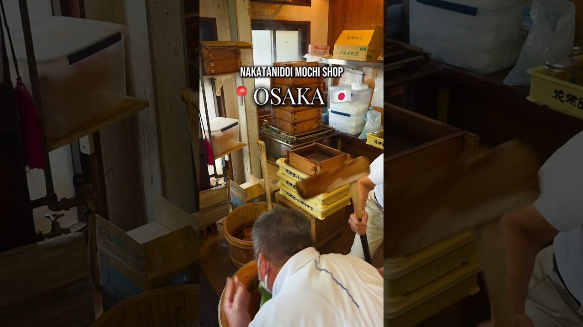 Best Mochi Shop in Osaka 🇯🇵