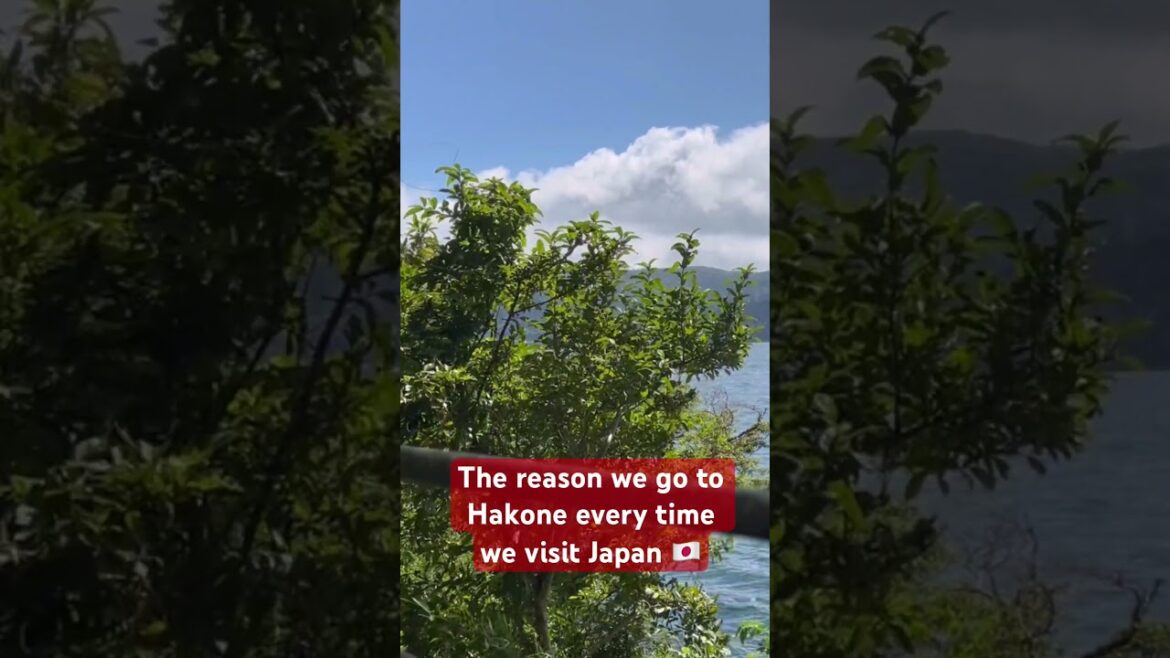 Hakone nature trip for stress relief. #japan #hakone #nature #shorts